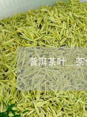 普洱茶叶 茶化石/2023041193827